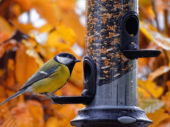 Gourmet Hot Sauce Variety Pack (Case)