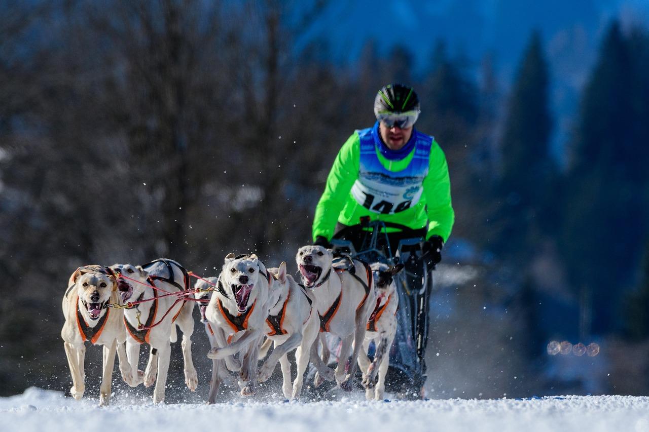 Conveyor Belt PVC 24" Width (Per Foot)