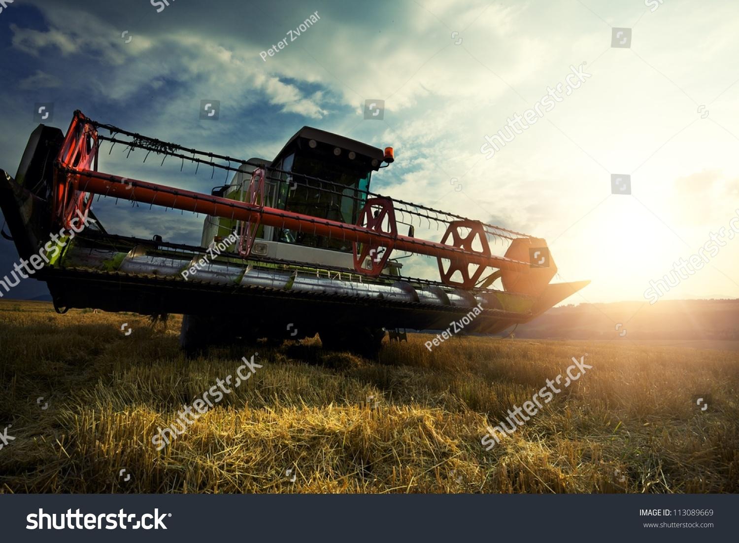 Grain Storage Silo 10-Ton Capacity
