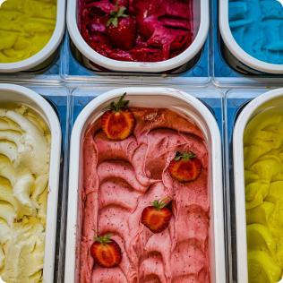 Gourmet Hot Sauce Variety Pack (Case)