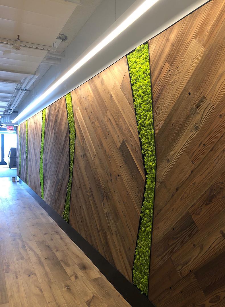 Conveyor Belt PVC 24" Width (Per Foot)