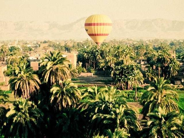Livestock Feed Mixer 500lb Capacity