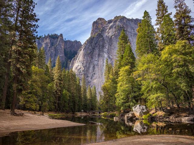 Bulk Roasted Coffee Beans Medium (5lb)