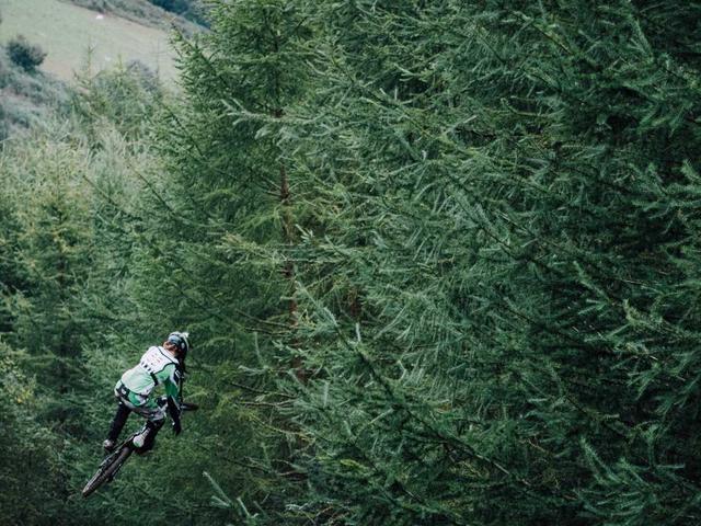 Organic Extra Virgin Olive Oil (Case of 6)