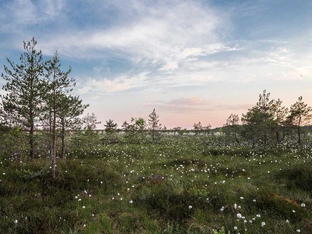 Stretch Wrap Film 18" x 1500ft (4 Rolls)