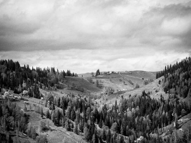 Packing Peanuts Biodegradable (14 Cu Ft)