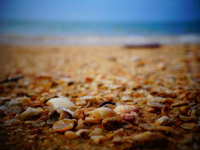 Bubble Cushion Wrap Roll 12" x 750ft